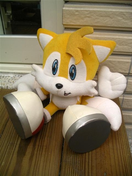 Tails布偶001.JPG Tails布偶001.JPG