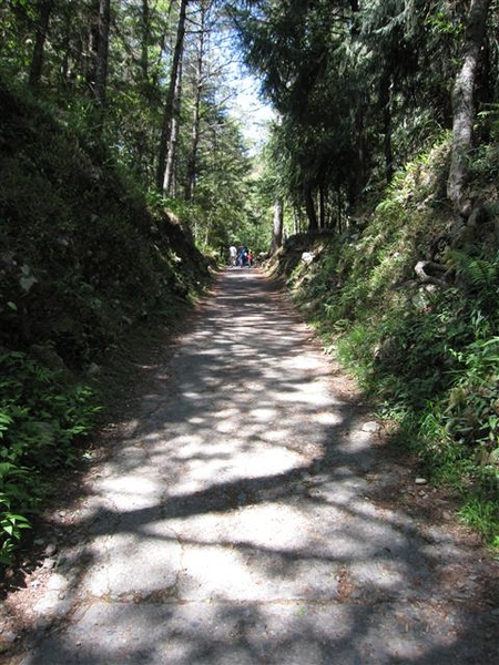 018_山路.JPG