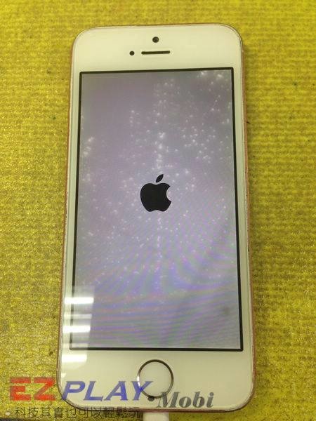 iPhone 5s喝酒歡慶新年