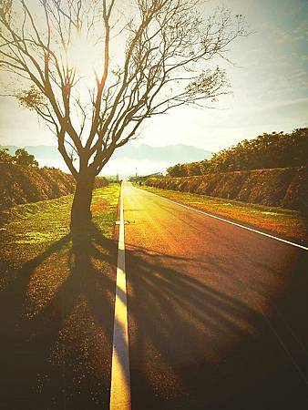 11745773_1655677754647064_3725113051898219660_n