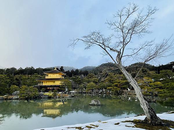 [日本_DAY5] 京都景點，錦市場美食，金閣寺美景，蟹道樂