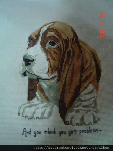 BASSET HOUND巴吉度犬