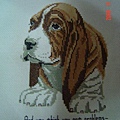 BASSET HOUND巴吉度犬