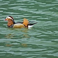 20110401-23.jpg