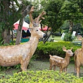 20110401-37.jpg