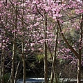 20110223-IMG_6332.jpg