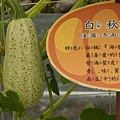 20110401-13.jpg