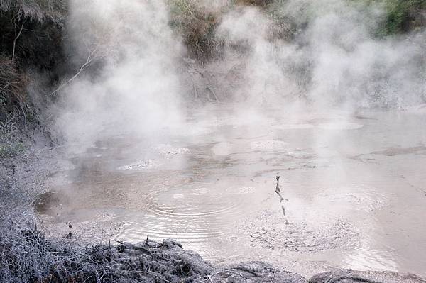 day3 rotorua/taupo