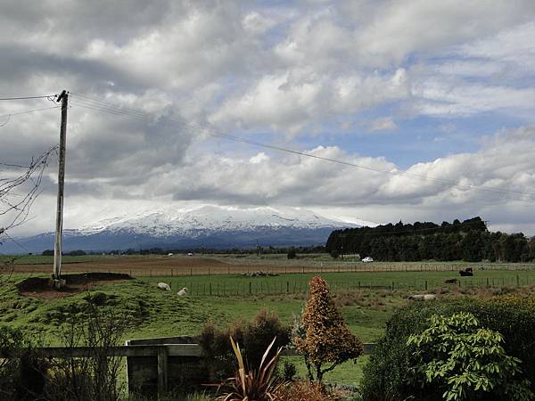 day4 taupo/ohakune