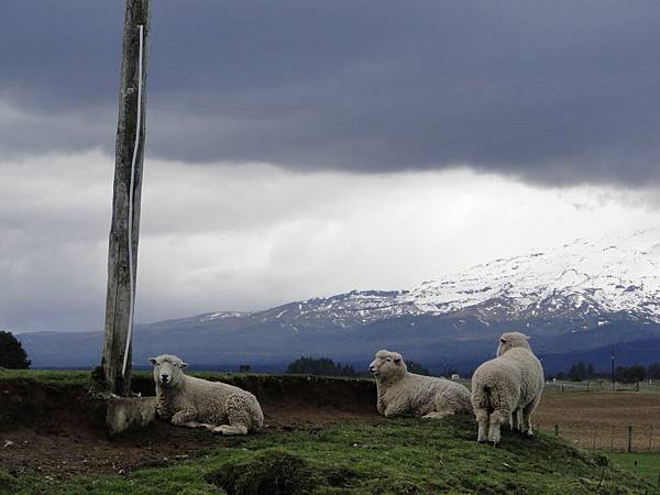 day4 taupo/ohakune