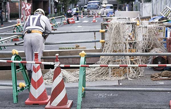 https___www.pakutaso.com_shared_img_thumb_ELLsyuumeigiku150928087713 https___www.pakutaso.com_shared_img_thumb_ELLsyuumeigiku150928087713