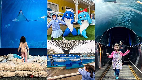 來花蓮就要來遠雄海洋公園玩，更別錯過來水族館內住一晚!