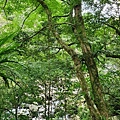 20200607滿月園國家公園 (121).jpg