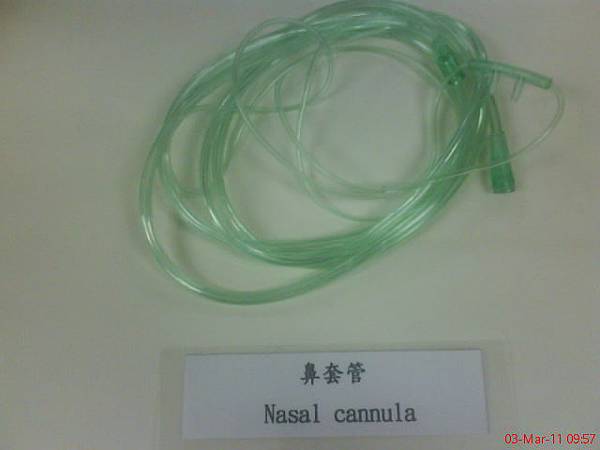 鼻套管Nasal cannula