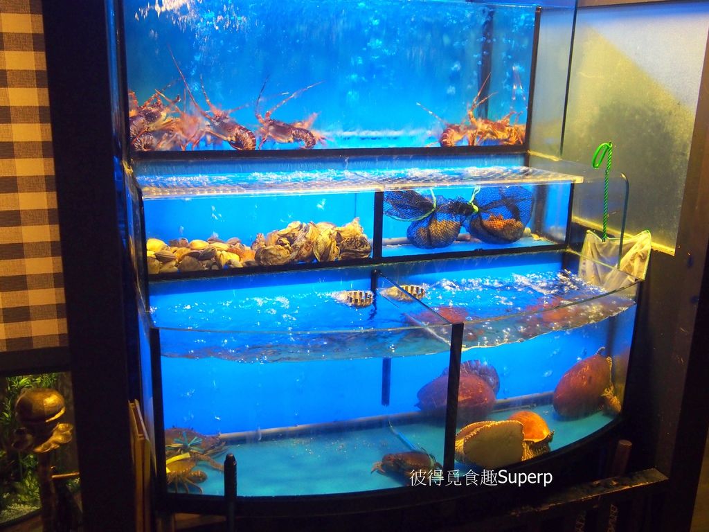 P6302848.JPG P6302848.JPG