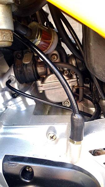 P_20150622_091832.jpg P_20150622_091832.jpg