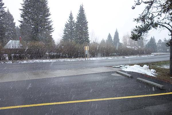 中間停車休息時剛好下雪