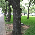 reunion 024.JPG