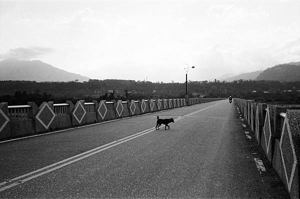 000391550015往鸞山聯絡道路橋 自由的阿狗