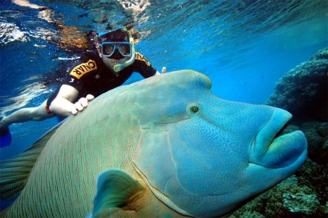 Great-Barrier-Reef1.jpeg