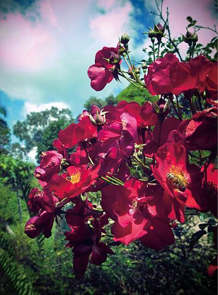 new image-all ev9.jpg