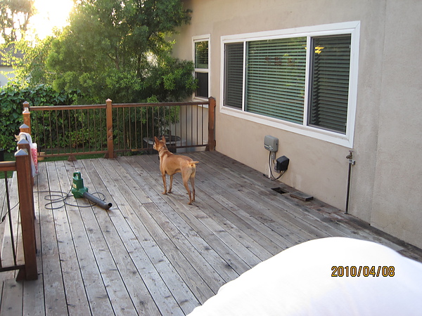IMG_1742.JPG IMG_1742.JPG