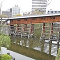 日本和歌山城--紅葉溪庭園 (13).JPG