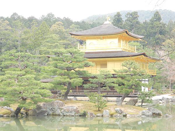 京都金閣寺 (13).JPG