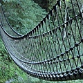 巨木步道09-吊橋.JPG