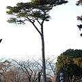 20080201 日本 (190).JPG