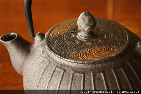 《台南》斑鳩的窩 (19).JPG