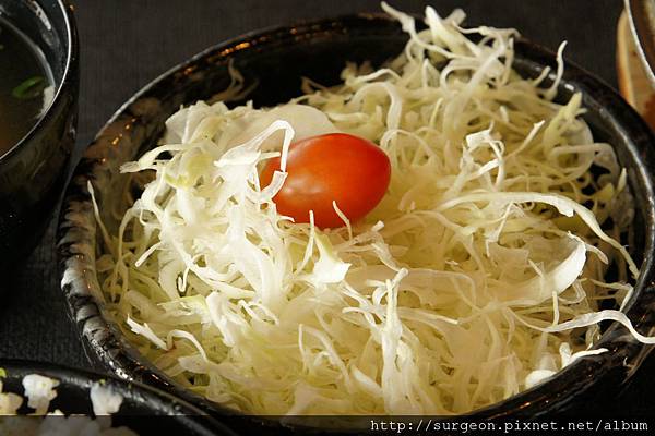 《台南》斑鳩的窩 (42).JPG