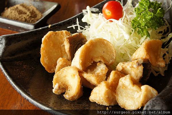 《台南》斑鳩的窩 (85).JPG