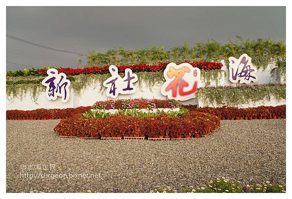 《台中》新社花海暨台中國際花毯節 (6).JPG 《台中》新社花海暨台中國際花毯節 (6).JPG