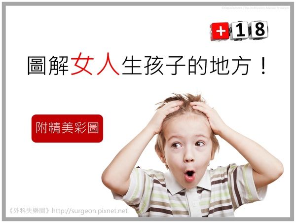 圖解女人生孩子的地方！