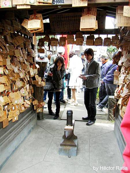 金山神社-12 kanamara 095 © Héctor Ratia