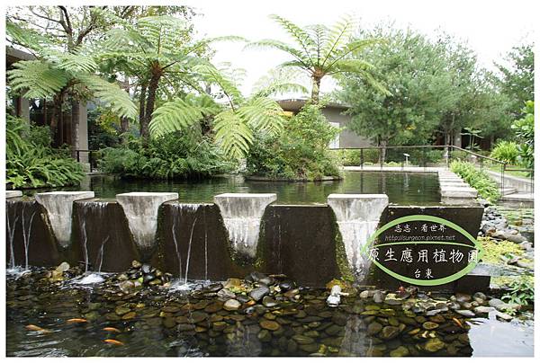 《台東》原生應用植物園 養生鍋 (21)