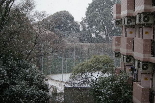 080123 我家陽台外面