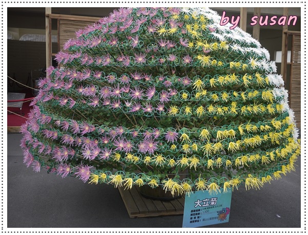 菊展02.JPG 菊展02.JPG