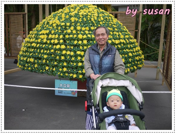 菊展01.JPG 菊展01.JPG