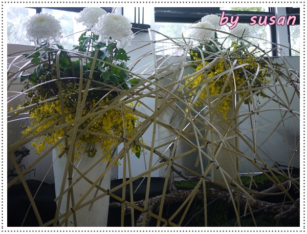 菊展15.JPG 菊展15.JPG