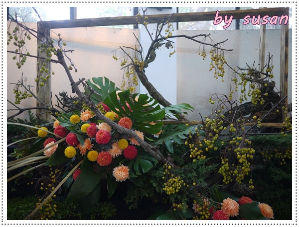菊展17.JPG 菊展17.JPG