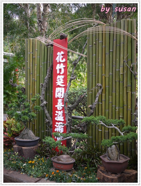 菊展18.JPG 菊展18.JPG