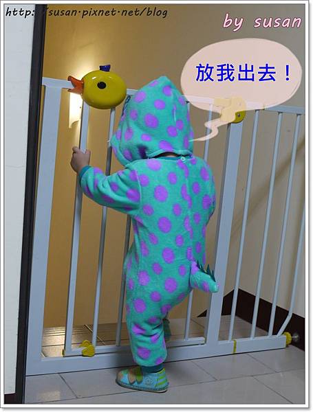 毛怪P1370365.JPG 毛怪P1370365.JPG