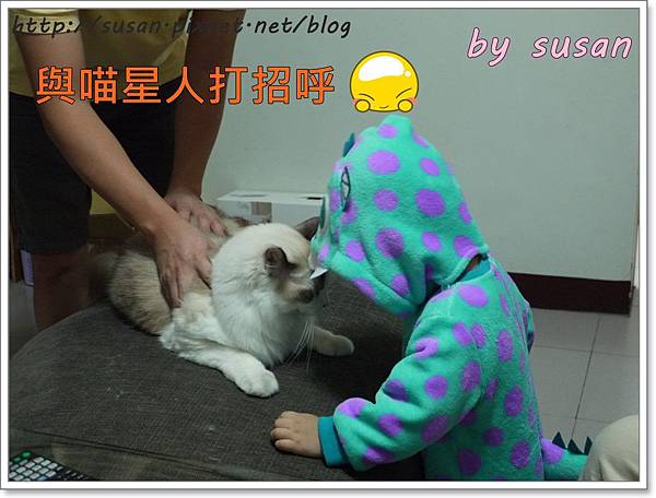 毛怪P1370377.JPG 毛怪P1370377.JPG