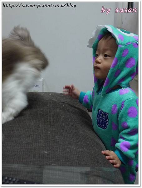 毛怪P1370379.JPG 毛怪P1370379.JPG