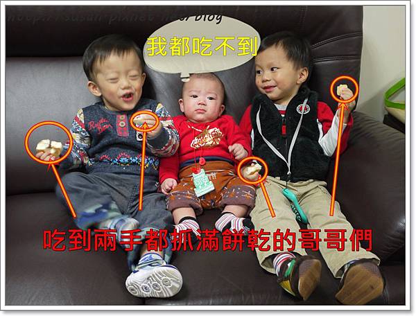 弟弟收涎17.JPG 弟弟收涎17.JPG
