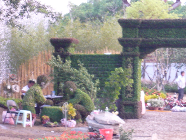 P1040983.JPG