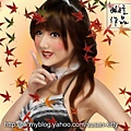 200903071315529244239.jpg