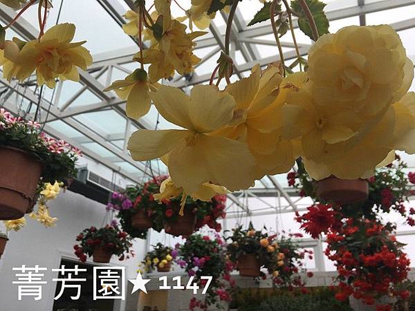 2017菁芳園